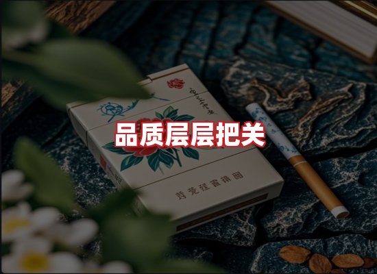 专业团队